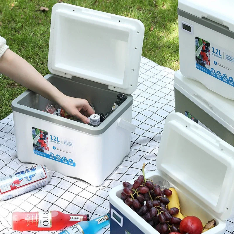 Portable Cooler Box for Camping, BBQ, Car & Picnic Use (5L/6L/12L)