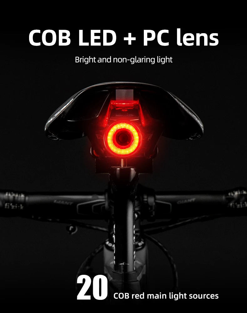 ROCKBROS Q5 Smart Brake-Sensing Bike with IPX6 Waterproof LED Rear Light