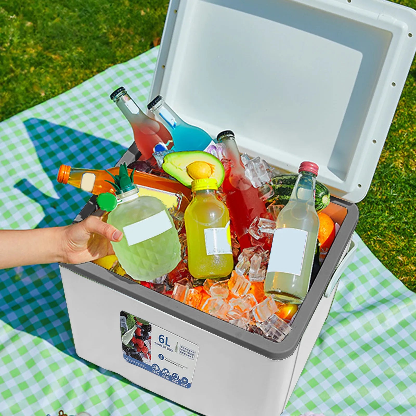 Portable Cooler Box for Camping, BBQ, Car & Picnic Use (5L/6L/12L)