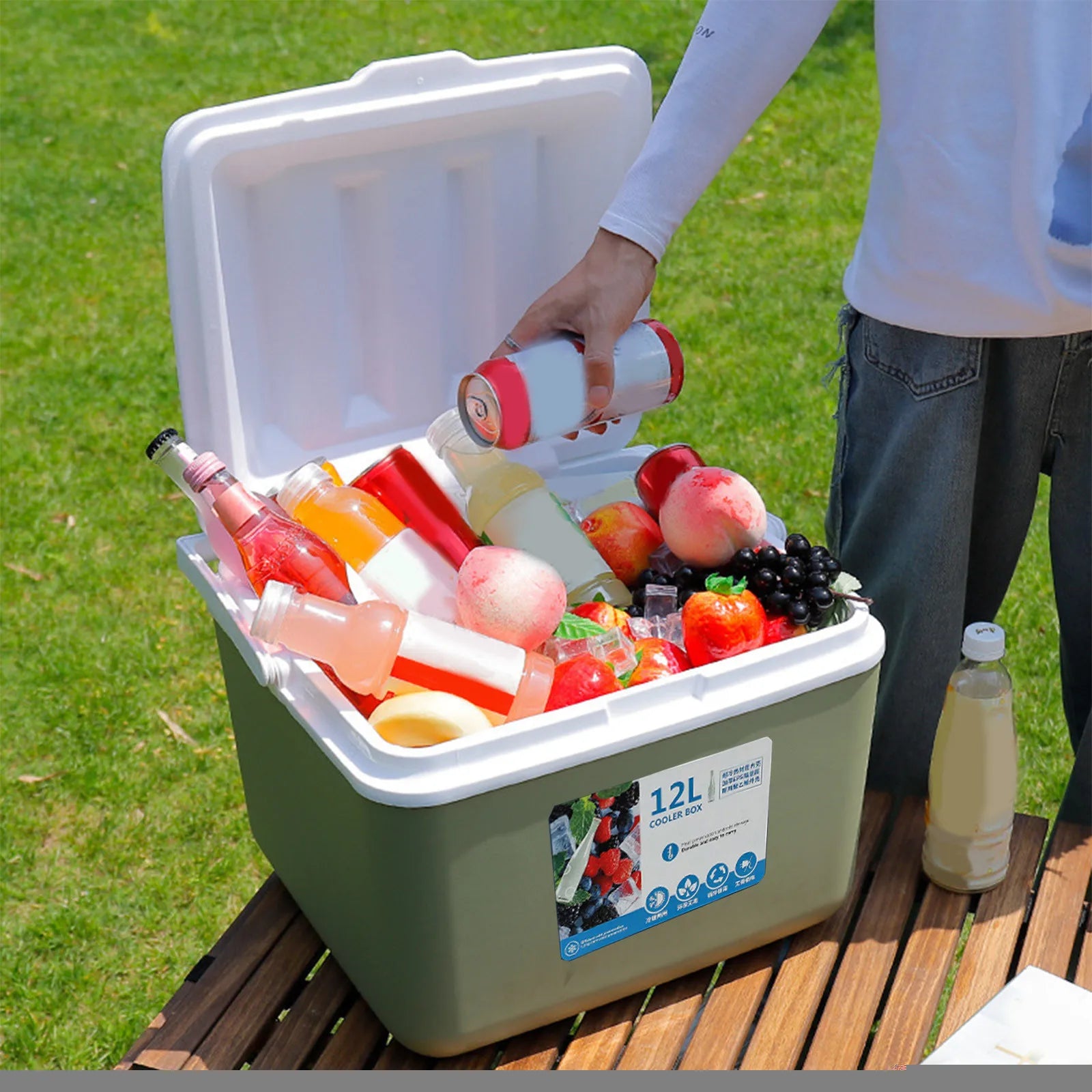 Portable Cooler Box for Camping, BBQ, Car & Picnic Use (5L/6L/12L)