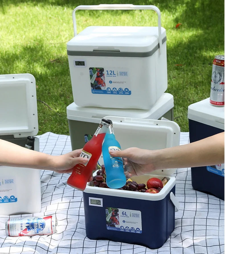 Portable Cooler Box for Camping, BBQ, Car & Picnic Use (5L/6L/12L)